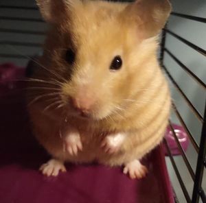 Meet your Posher, Caleb